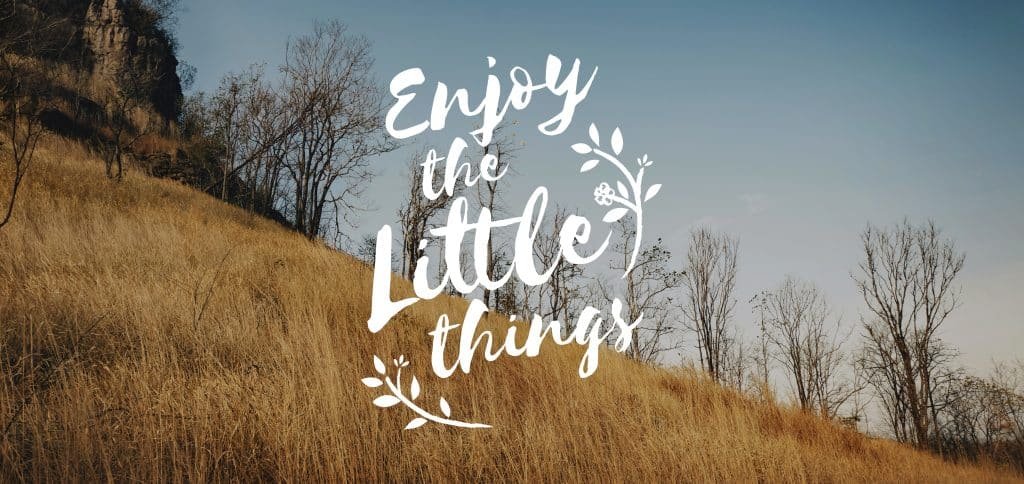 Work Smarter, Not Harder - Mindful Parenting for Women 1 enjoy moment things positive words phrase graphic