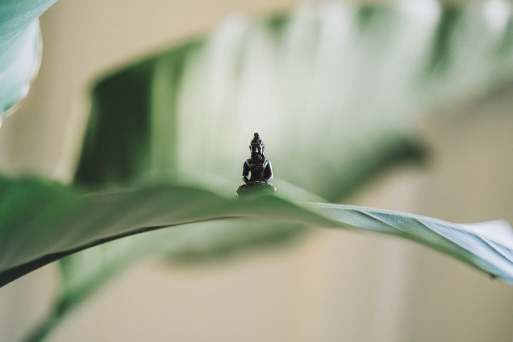 Self-Love and Spiritual Growth - Connecting with Your Higher Self 3 Very small Buddha statue set on a large plant leaf