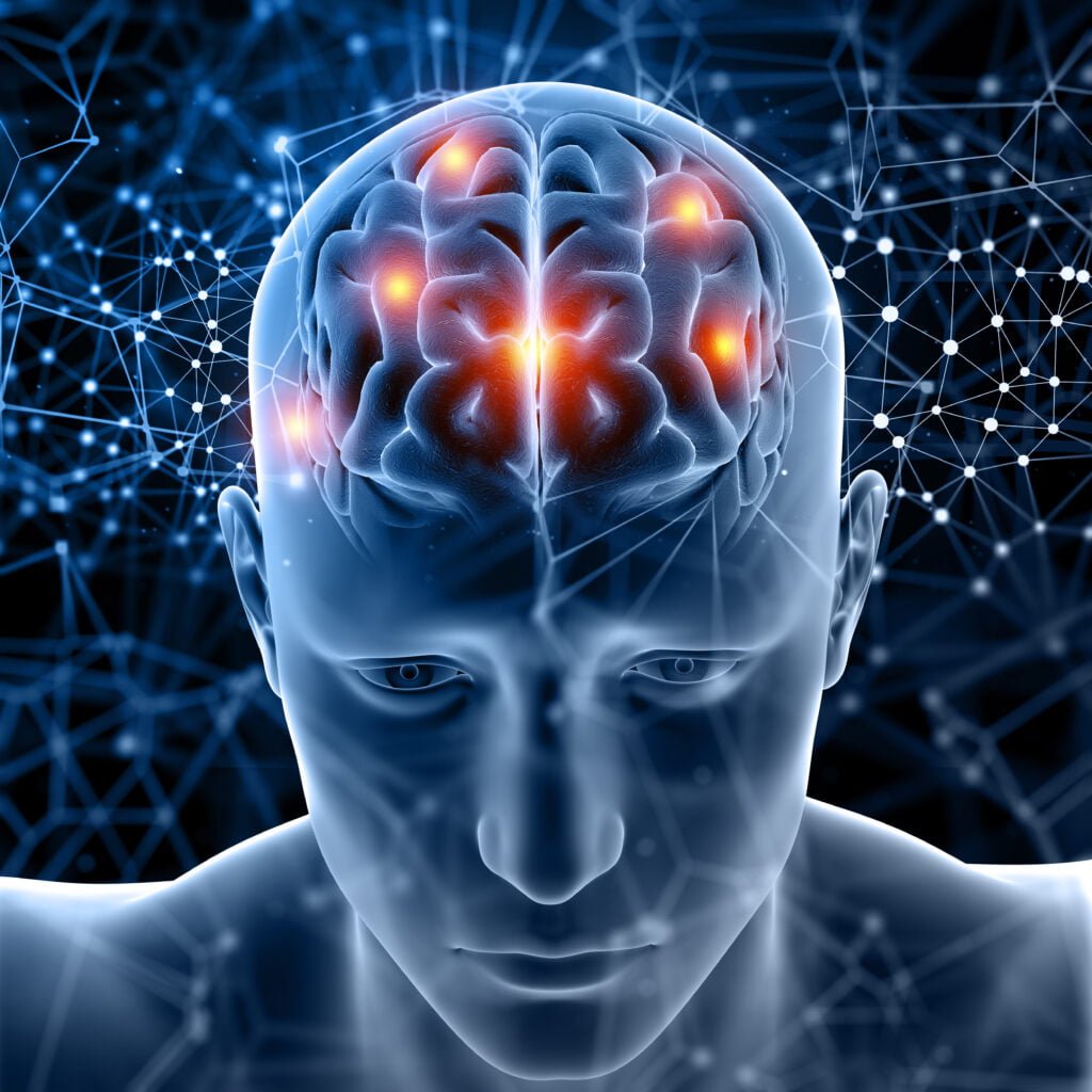 The Science Behind the Law of Attraction - Neuroplasticity and Quantum Physics 2 3D render of a medical figure with brain highlighted