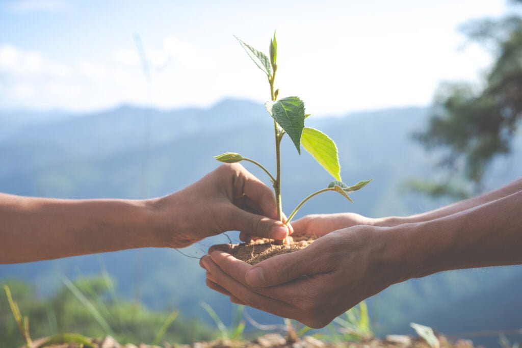 How to Foster Self-Love Through Volunteer Work and Giving Back 2 Volunteering helps growth concept