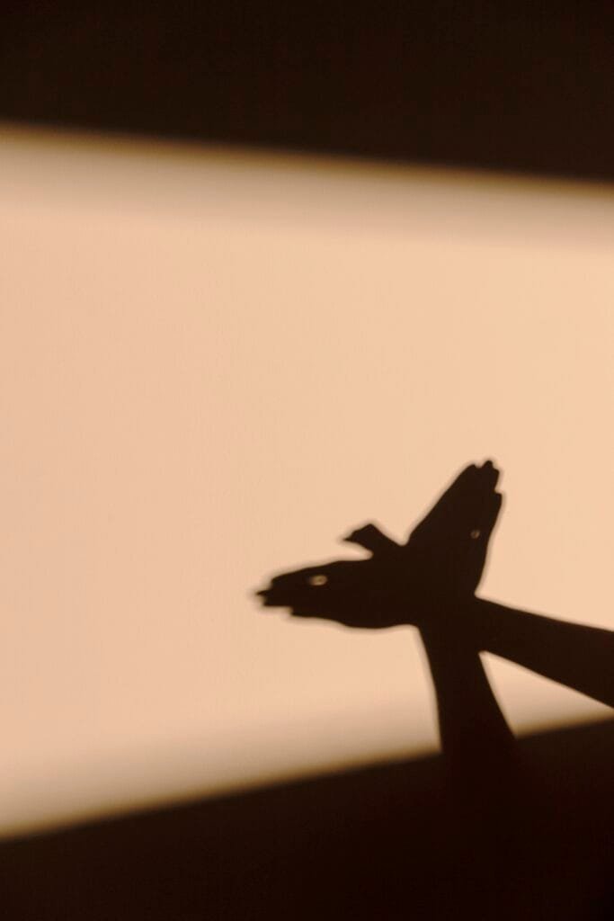 The Law of Attraction and Shadow Work Integrating All Aspects of the Self 4 Shadow work can be beautiful