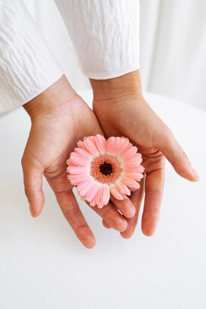 studio portrait with hands holding pink flower